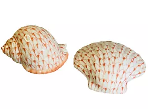 Andrea by Sadek Hand Painted Fish Net Design Orange Shell Beach Summer Decor - Picture 1 of 10