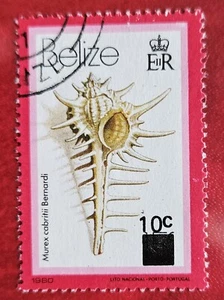 BELIZE 1981 10c Revaluation (Scott 422; SG 621) USED - Picture 1 of 1