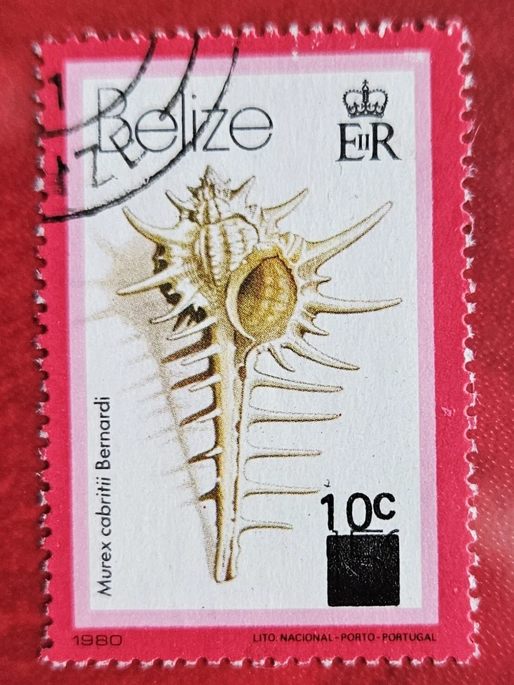 BELICE 1981 10c Revalorización (Scott 422; SG 621) USADO Foto 1 de 1