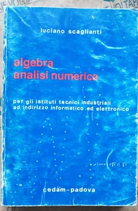 ALGEBRA ANALISI NUMERICA - LUCIANO SCAGLIANTI - CEDAM 1981 - Imagen 1 de 1