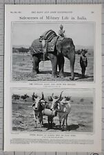 1900 PRINT MILITARY LIFE IN INDIA ELEPHANT HAULAGE ARTILLERY BULLOCKS DRIVER