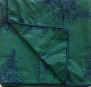LANDS' END COMING HOME COLLECTION GREEN W/ BLUE PINECONES EURO PILLOW SHAMS- SET - Picture 1 of 5