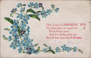 Cameron Wisconsin Greetings Forget Me Not Flowers Poem 1909 postcard GQ7 - Picture 1 of 2