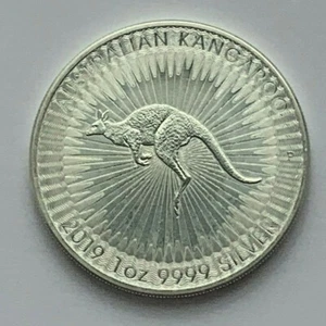 2019 AUSTRALIEN SILBER AUSTRALISCHES KÄNGURU EINDOLLAR MÜNZE - Bild 1 von 6