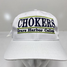 1995 チョーカー グレイズ ハーバー カレッジ カレッジ スナップバック ハット キャップ ノベルティ