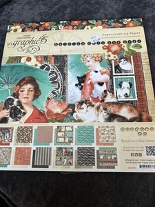 Graphic 45 Raining Cats and Dogs 12 x12 Paper Pad Stickers Chipboard Cards ++ - Picture 1 of 7