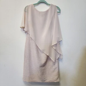Midnight Velvet Dress 10 Champagne Sheath Cape Sheer Wedding Mother Bride Groom - Picture 1 of 11