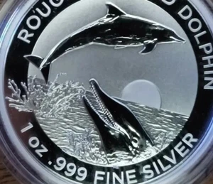 2022 -1952 1$ 999 1oz Silver Coin Rough Toothed Dolphin Stunning UNC Frosted - Picture 1 of 5