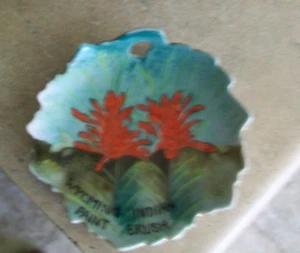 Norcrest Fine China Wyoming Indian Paint Brush Decorative Souvenir 5 in. Plate - Picture 1 of 3
