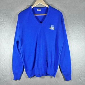 Maglione maglia vintage NFL Detroit Lions UOMO GRANDE logo scollo a V pullover USA anni 80 - Foto 1 di 18