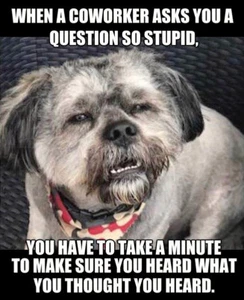 Humorous dog coworker refrigerator magnet 3 1/2x 3 1/2" - Picture 1 of 1
