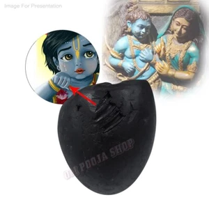 Piedra Shila Negra Shaligrama Damodar Krishna Original - 650 gramos OmPoojaShop - Imagen 1 de 6