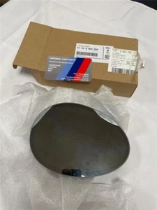 MINI R55 R56 R57 R58 R59 R60 R61 TÜR SPIEGELGLAS LINKS NEU ORIGINAL 51169803799 - Bild 1 von 3