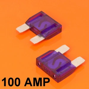 High Quality 2 x 100 Amp Maxi Blade Fuse Purple 100A Car Van Bike Large Fuses - Picture 1 of 1