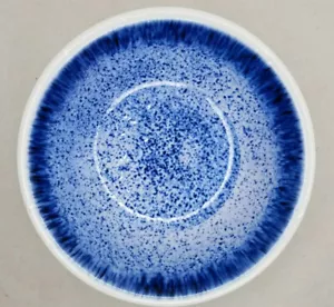 Tommy Bahama blau weiß MELAMIN Spritz Müsli Beilage Salat Suppe Schüsseln 4 Stück - Bild 1 von 7