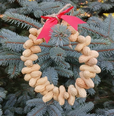 Vogel Eichhörnchen Futterkranz  Erdnüsse - Bild 1 von 2