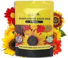 NatureZ Edge 2600+ Sunflower Seeds for Planting Bulk Variety Pack Get More Su...