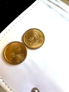 2000 "D" SACAGAWEA GOLDEN DOLLAR, A BEAUTIFUL NATIVE INDIAN AND HER SON. - Picture 1 of 5