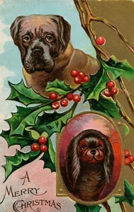 Gold Metallic geprägte Weihnachten Hunde Serie und Stechpalme Weihnachten Postkarte - Bild 1 von 2