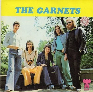 THE GARNETS INDIAN UPRISING / TEENAGE SUMMER CRASH COURSE FRENCH 45 PS 7" - Foto 1 di 1