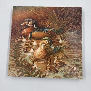Springbok Family Outing Wood Duck Puzzle 500 Pc 100% Complete PZL2109 - Picture 1 of 3