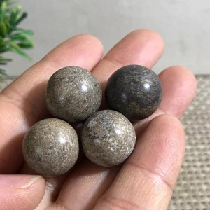 4pcs 22g Top! Natural polished dinosaur bone specimen Madagascar c19 - Picture 1 of 5