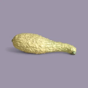 Mary Kirk Kelly (Alabama, 1918-2013) Squash - Picture 1 of 5