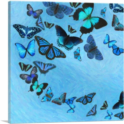 ARTCANVAS Baby Blue Black Butterfly Wings Insect Canvas Art Print — 第 1/4 张图片