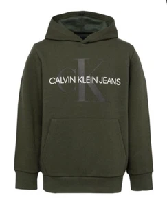 Calvin Klein Old School Logo Pullover Hoodie Sequoia Boys Size M (10-12) - Picture 1 of 6