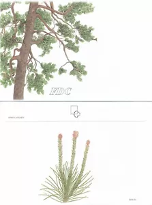 Finland 2002 FDC with no Stamp - Pine Tree - Designed by Pirkko Juvonen - Picture 1 of 1