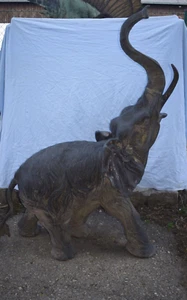 Sehr großer Elefant, massive Bronze, schöne Antikpatina, 182cm - Bild 1 von 8