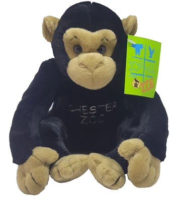 CHESTER ZOO CHIMP CHIMPANZEE MONKEY PLUSH 8" CUDDLY SOFT TOY RAVENDEN + TAGS - Image 1 of 4