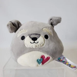 Squishmallows Flipamallows Valentines Shaun der Schnauzer 4 Zoll Rückseite Plüsch - Bild 1 von 8