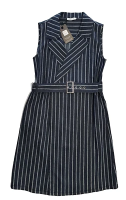 Brave +True Rodeo Dress BNWT Sz L Indigo Stripes Sleeveless Career Professional - image 1 of 4