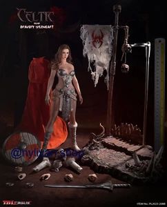 TBLeague PL2023-208B 1/6Celtic Bravery Wildheart 12' Silber weibliche Actionfigur - Bild 1 von 6
