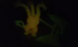 Vintage König Ghidorah Hikaru (1991) 1,75" Figur aus Glow Godzilla Set Bandai 1993 - Bild 1 von 8
