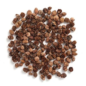 Pine Cones, Mini Pinecones in Bulk for Crafts, 8OZ, Pack of 110 (Natural) - Picture 1 of 5