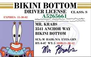 Mr. Krabs Drivers License 3.4” X 2.2” Laminated ID Card. - Picture 1 of 2