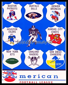 1963 AFL Team Logo's Bild Farbe Bild 8 x 10 Foto Bild - Bild 1 von 1