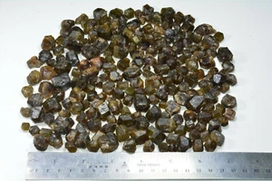 552 Gram Full and Well Terminated Dravite Tourmaline Crystals Lot @ Afghanistan - Picture 1 of 8