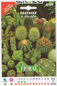 CACTACEE IN MISCUGLIO - DA VASO PER BALCONI-FLORAL - BUSTA SEMENTI - Picture 1 of 1