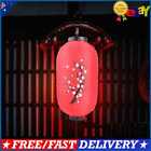 Plum Hanging Lampion Blossom Sashimi Sushi Lantern Chinese Long Cloth Lantern