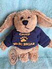 * New * Boyds Bears ( Indy ) Camp Beari Briar 5.5in Dog # 91757-14 With Tag !