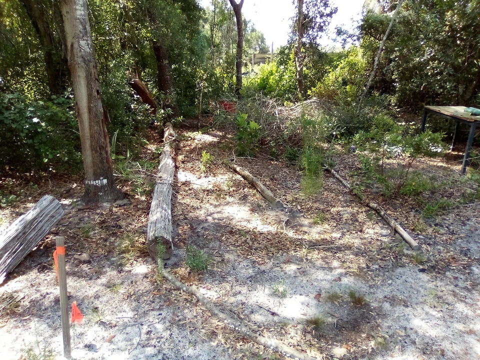 ¡Tierra de Florida rara de escritura!  Cave Lake Rd. ¡Se permite acampar DeLeon Springs FL! Foto 1 de 4