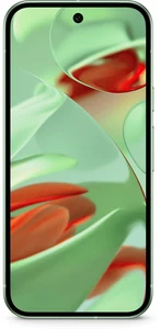 Google Pixel 9 - 256 GB - Wintergreen - Desbloqueado, Nuevo y Precintado - Imagen 1 de 4