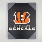 New Cincinnati Bengals Sign 2012 NFL