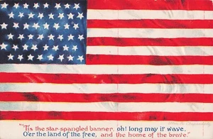 Clapsaddle Patriotic Postcard Memorial 48 Star Flag Signed Pub. Wolf  1912+ V4 - Picture 1 of 2