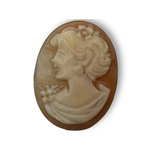 Vintage Carved Loose Shell Woman Left Facing Cameo 24 x 19 mm - Picture 1 of 3
