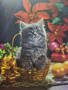 Un gattino per Natale cesto poesia cesto Poinsettia stampa rivista vintage 1969 - Foto 1 di 6