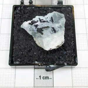 03365 TN Nettunite California State Gem Mine San Benito County California USA 35 - Foto 1 di 1